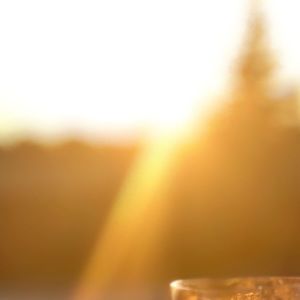 Meet your Posher, Meg